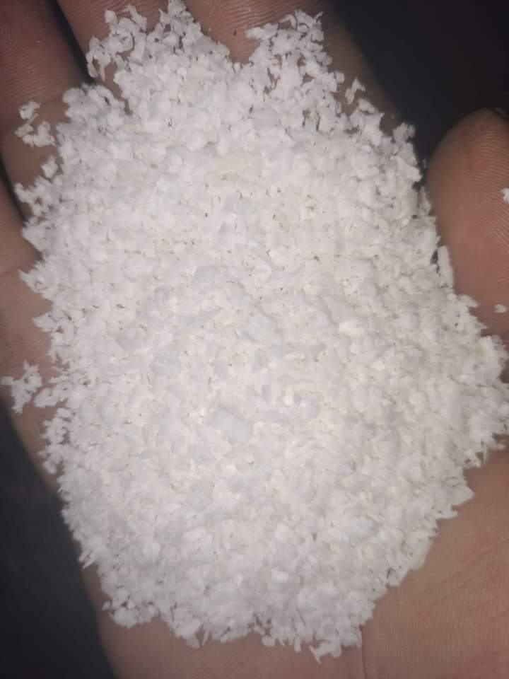 zo-th-1
